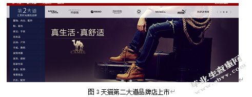 关于淘宝消费者的网购心里以及购买行为的研究