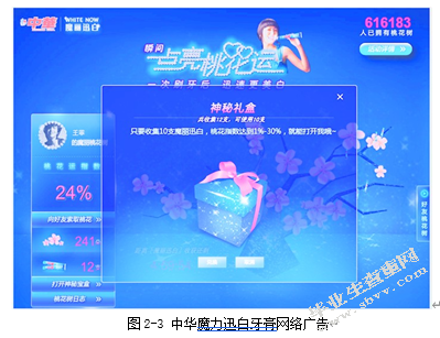 广西奥奇丽集团网络广告策略研究
