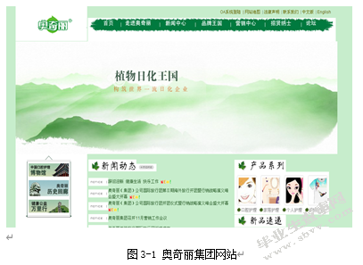 广西奥奇丽集团网络广告策略研究