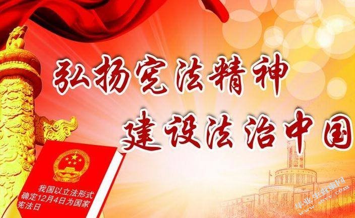 简析X宪法的特点及其原因