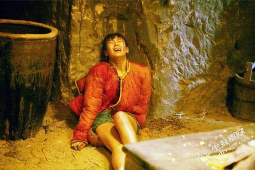 论《白鹿原》中陕西方言词的表达作用