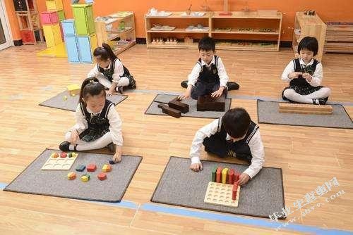 小学生课外阅读现状调查