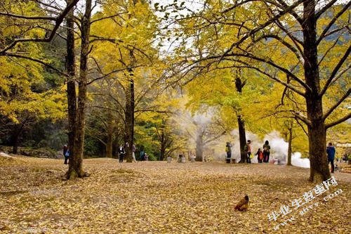 南雄市90后家庭理财方案