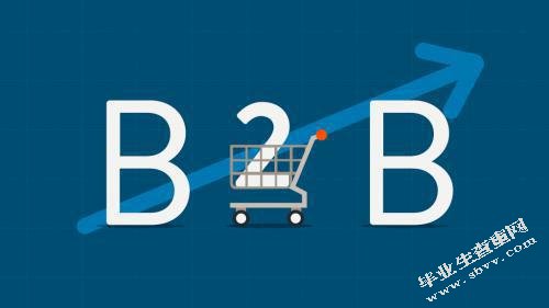 B2B平台对企业营销的影响（以水泵制造业为例）