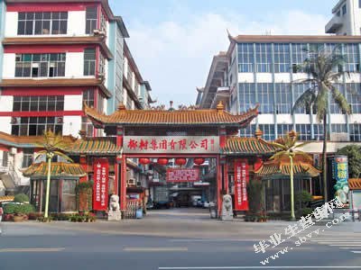 从椰树集团的对外贸易分析海口市对外贸易发展趋势