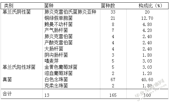 继发性肺结核合并下呼吸道感染病原菌分布