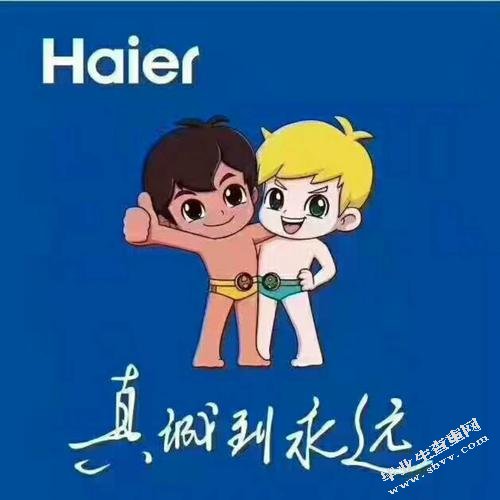 浅析海尔的三大营销模式策略