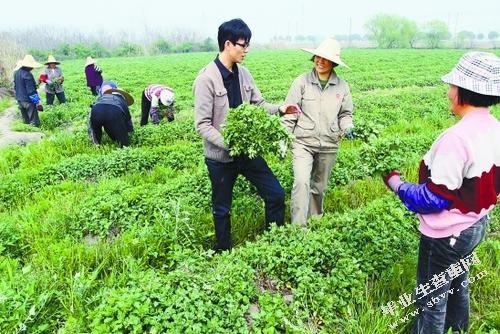 浅谈新进大学生村官如何开展支局营销工作