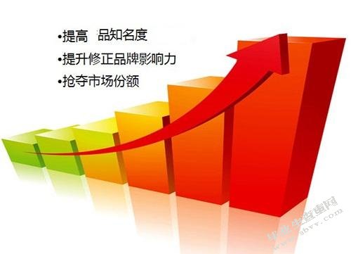 电商企业网络营销策略研究 —以瑞之美公司为例