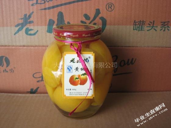 大连山水食品有限公司实习报告