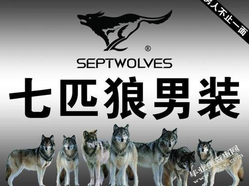 七匹狼男装营销策略研究