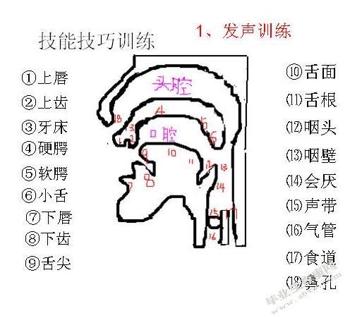 论歌唱中的紧张与放松