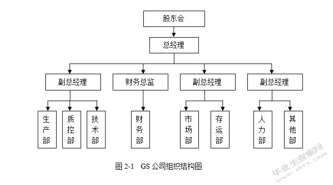 论GS公司财务管理存在的问题及对策