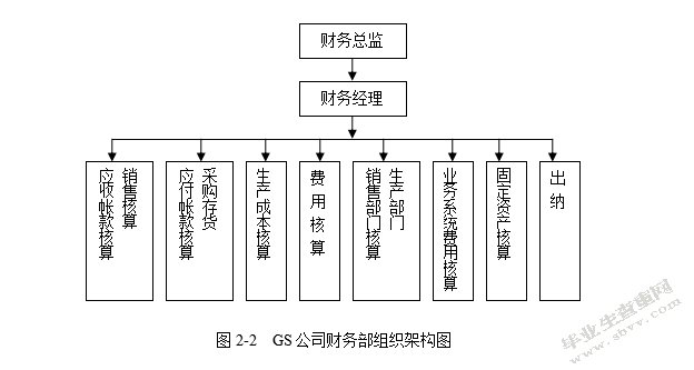 论GS公司财务管理存在的问题及对策
