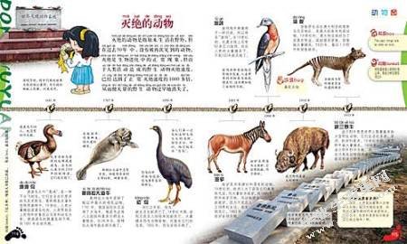 动物效应中记忆编码方式研究综述