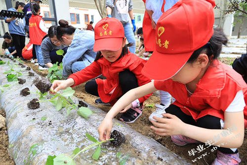 小学劳动教育存在的问题及解决对策