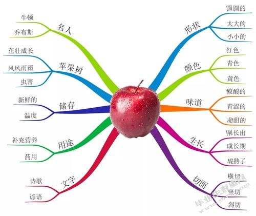 小学低年级语文儿童诗教学存在的问题及对策