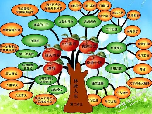 生命教育在小学语文教学中存在的问题及解决策略