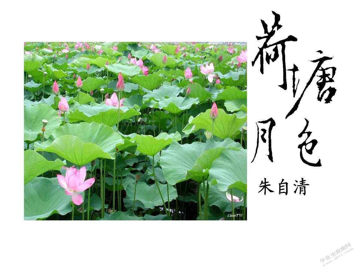 论朱自清《荷塘月色》主题之美