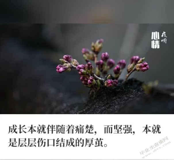 平凡的美