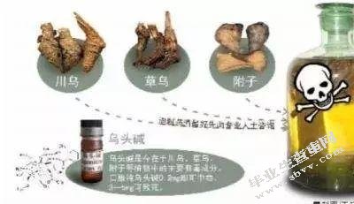 乌头碱急性中毒患者的心电图临床特点及解释