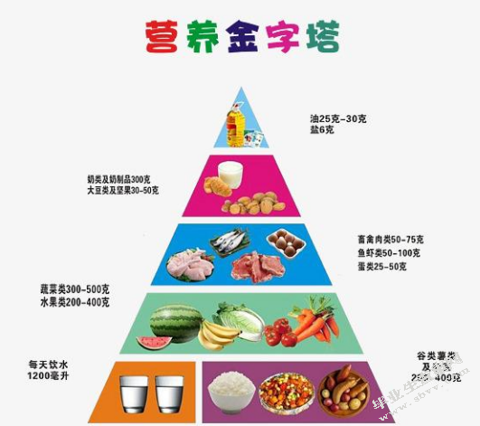 健康人生与合理膳食