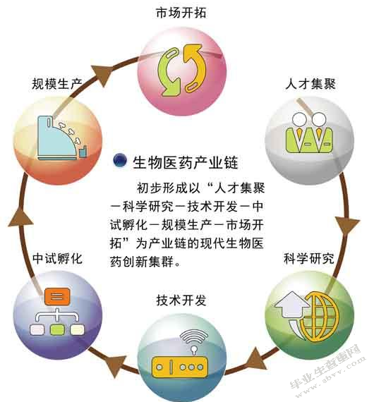 白术含量分析研究