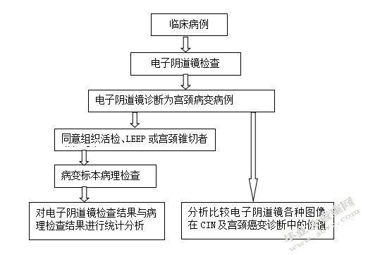医学方向参考论文应用SPSS软件分析电子阴道镜检查资料的临床价值