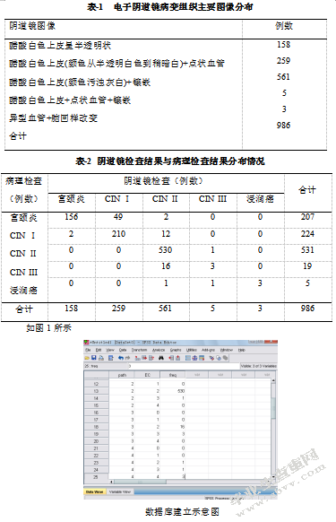 医学方向参考论文应用SPSS软件分析电子阴道镜检查资料的临床价值