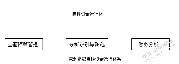 私营企业集团资金良性运行研究