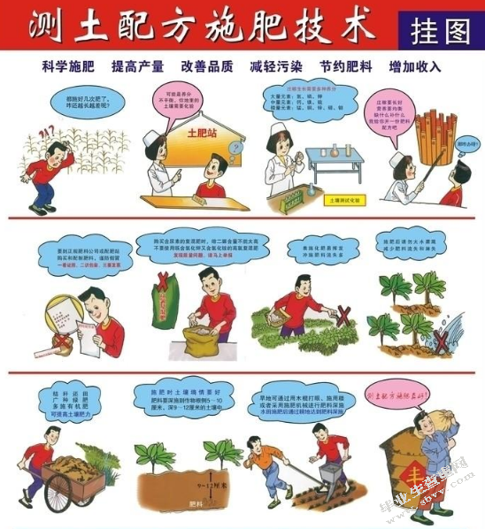 水稻高产栽培关键技术措施
