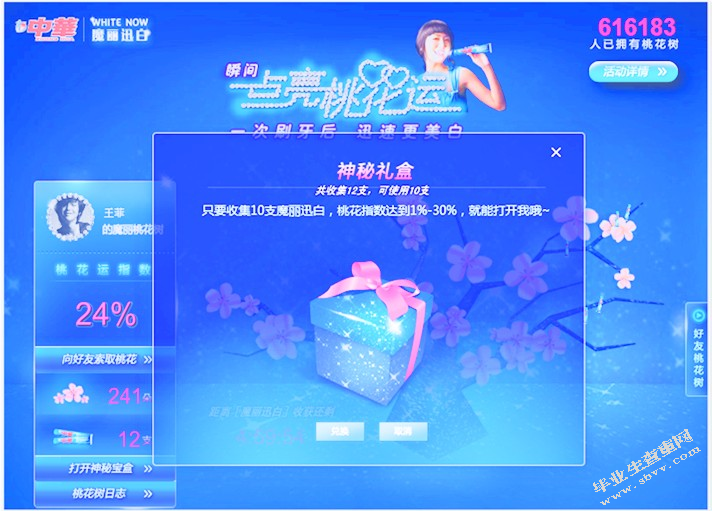 网络时代的消费特征与营销对策