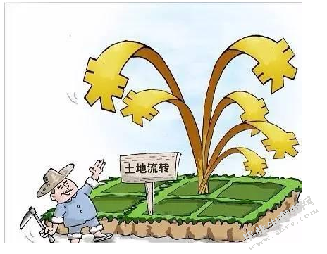 农村与区域发展-农村金融与保险文献综述