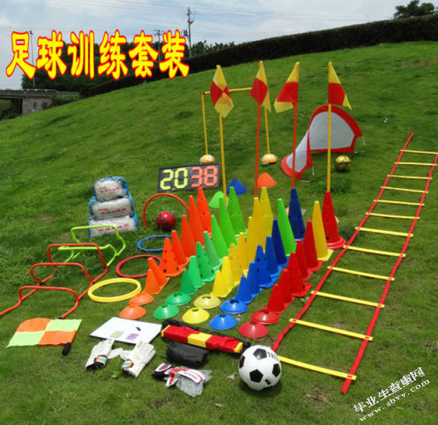 我国青少年校园足球培养体系研究