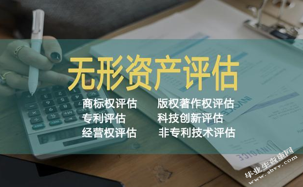 无形资产核算的探讨