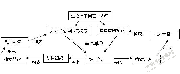 高中生物教学中自制生物学具的应用开题报告书