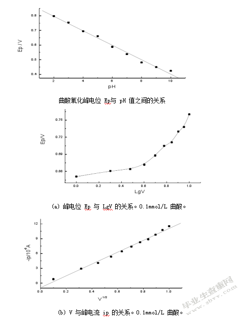 碳纳米管电极在分析中的应用与展望