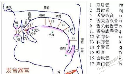 论以腔行字-美声唱法演唱中国作品的理念与实践