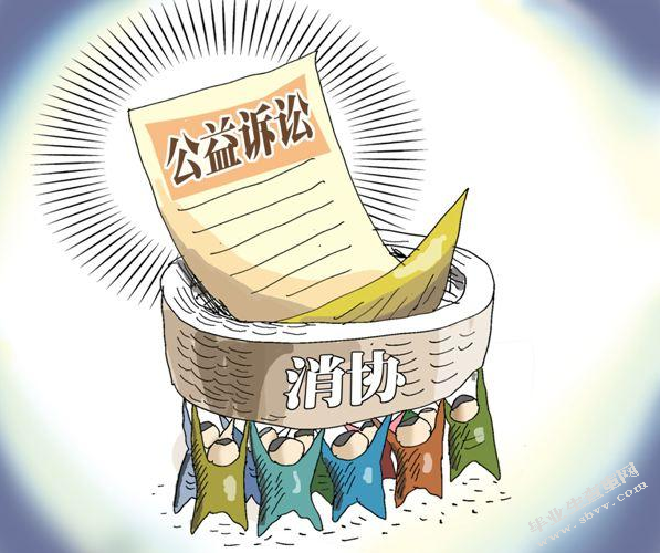 浅议民事公益诉讼的价值及其构建