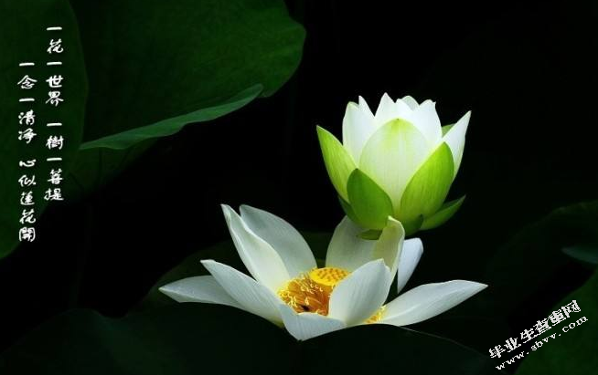 围观是一种力量