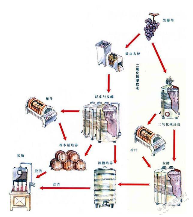 小谈生活中该懂的葡萄酒知识