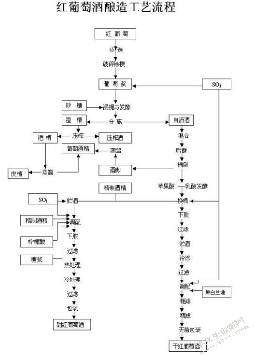 葡萄酒酿造工艺控制浅论