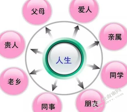 职场生态研究