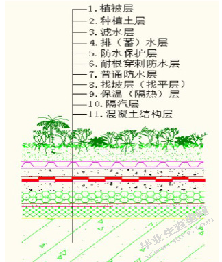浅谈苏州市区屋顶绿化的运用及发展现状