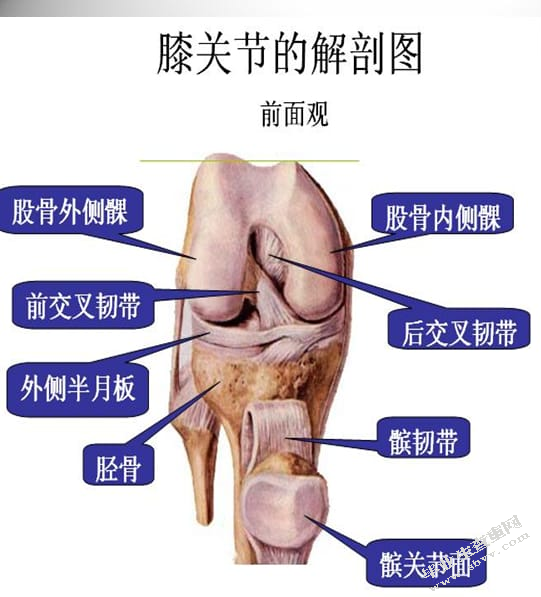 膝关节镜的护理