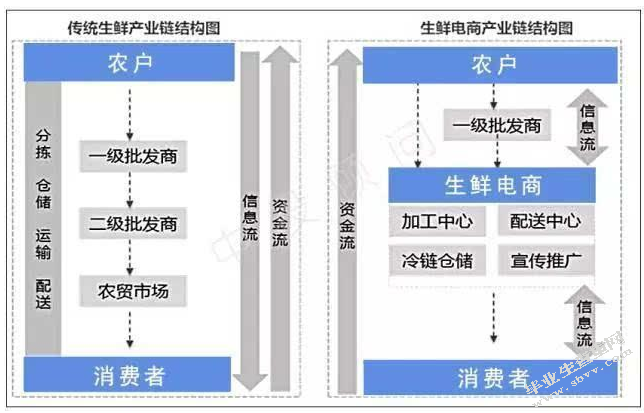 生鲜市场（电商）在电子商务环境下的发展对策研究
