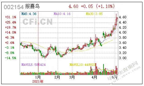 报喜鸟控股股份有限公司的财务风险控制分析