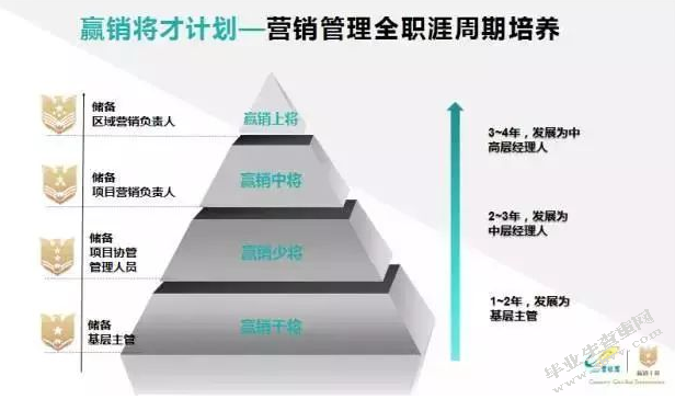 碧桂园经营绩效分析