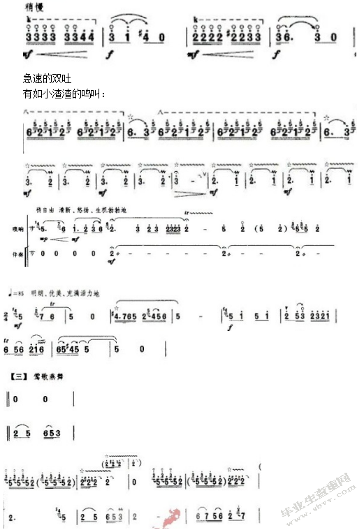 百鸟朝凤的曲式分析及演奏技巧