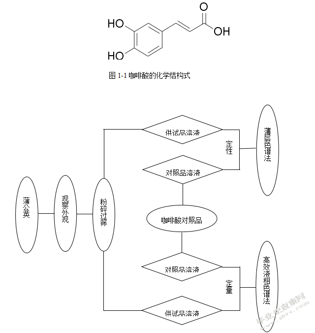 HPLC法测定饮片蒲公英中咖啡酸的含量及鉴别